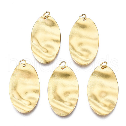 316 Surgical Stainless Steel Pendants STAS-N097-020-1