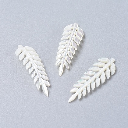 Natural Shell Pendants SSHEL-L016-003A-1