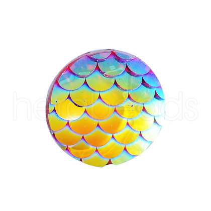 Resin Cabochons CRES-Q191-HA023-11-1