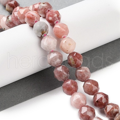 Natural Plum Blossom Jasper Beads Strands G-NH0021-A20-01-1