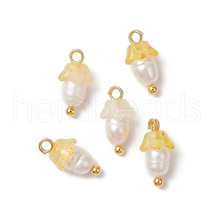 Flower Acrylic Charms PALLOY-JF03588-07-1