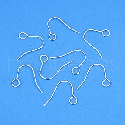 304 Stainless Steel Earring Hooks STAS-B047-31S-1