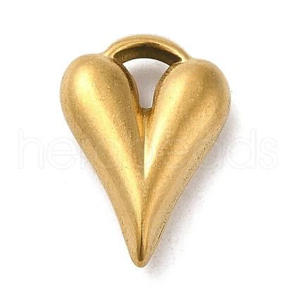 304 Stainless Steel Pendants STAS-Q300-03G-1