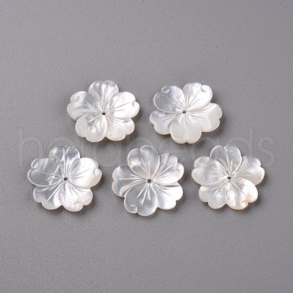 Natural White Shell Mother of Pearl Shell Beads X-SSHEL-R144-10-1