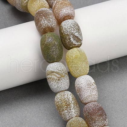 Natural Weathered Agate Beads Strands G-NH0047-B06-02-1