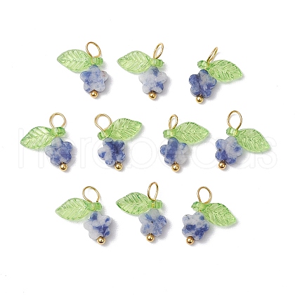 10Pcs Natural Blue Spot Jasper Flower Charms PALLOY-JF03765-03-1