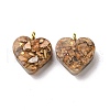 Transparent Resin Natural Imperial Jasper Dyed Chips Pendants G-E185-12G-04-2