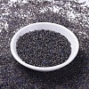 MIYUKI Round Rocailles Beads X-SEED-G007-RR4556-2