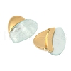 304 Stainless Steel Resin Pendants STAS-V015-50G-2