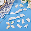  Triangle/Polygon/Rectangle/Horse Eye/Rhombus Acrylic Connector Charms MACR-PH0001-85B-5