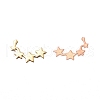Brass Cabochons MRMJ-L015-08G-2
