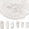 SUNNYCLUE 6Pcs Natural Keshi Pearl Beads PEAR-SC0001-23-1
