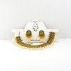 Oval Bohemian Style Alloy with Resin Tassel Pendant Necklace & Stud Earring Sets FS-WGB129C-01-1