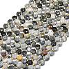 Natural Eagle Eye Stone Beads Strands G-C116-A41-02-2