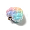 Rainbow Color Opaque Resin Pendants X-RESI-F035-01-3