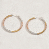 Stylish Stainless Steel Two Tone Twist Hoop Earrings TX1050-2-1