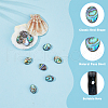 FIBLOOM 10Pcs Natural Paua Shell Beads SSHEL-FI0001-04-5