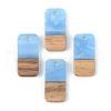 Opaque Resin & Walnut Wood Pendants X-RESI-S389-044A-C01-1