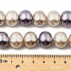 Shell Pearl Beads Strands BSHE-XCP0001-28-4