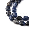 Natural Sodalite Beads Strands G-Z006-A39-4