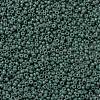 MIYUKI Round Rocailles Beads X-SEED-G009-RR4481-2