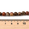 Natural Picture Jasper Beads Strands G-S390-07-6mm-5