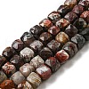 Natural Mexican Lace Agate Beads Strands G-NH0015-B02-01-1