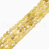 Natural Yellow Opal Beads Strands G-S301-09-1