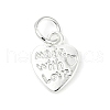 Alloy Charms FIND-H012-04S-1