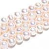 Natural Cultured Freshwater Pearl Beads Strands PEAR-N016-07B-2