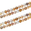 SUPERFINDINGS 2 Strands Natural Fossil Coral Beads Strands G-FH0002-34-1