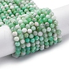 Natural Chrysoprase Beads Strands G-G195-A02-03-2