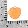 Resin Pendants FIND-U031-11B-P-3