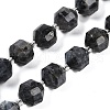Natural Larvikite Beads Strands G-O201B-139G-2
