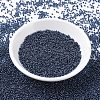 MIYUKI Round Rocailles Beads SEED-G007-RR0358-2