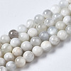 Natural White Moonstone Beads Strands G-N328-51A-01-2