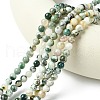 Natural Tree Agate Beads Strands X-G-K194-6mm-02-3