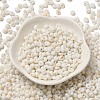 Baking Paint Glass Seed Beads X1-SEED-F006-01A-15-2