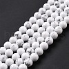 Synthetic Howlite Beads Strands G-E568-04B-1