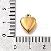 304 Stainless Steel Charms STAS-C119-05G-3