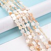 Natural Freshwater Shell Beads Strands SHEL-H002-03G-2