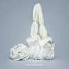 Preciosa® MAXIMA Crystal No Hotfix Flatback Stones Y-PRC-NSS6-50005-200-5