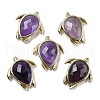 Natural Amethyst Pendants G-U019-02G-07-1