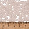 Transparent Colours Glass Seed Beads X-SEED-F006-03A-06-4