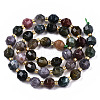 Natural Indian Agate Beads Strands G-T131-77A-3