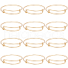 SUNNYCLUE 12Pcs Steel Adjustable Bangle Making AJEW-SC0002-G-1