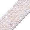 Natural Cultured Freshwater Pearl Beads Strands PEAR-N014-03E-01-2