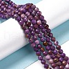 Natural Lepidolite/Purple Mica Stone Beads Strands G-C052-06-2