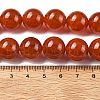 Natural Multi-Color Agate Beads Strands G-A261-B07-14mm-5
