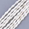 Freshwater Shell Beads Strands X-SHEL-T012-48-1